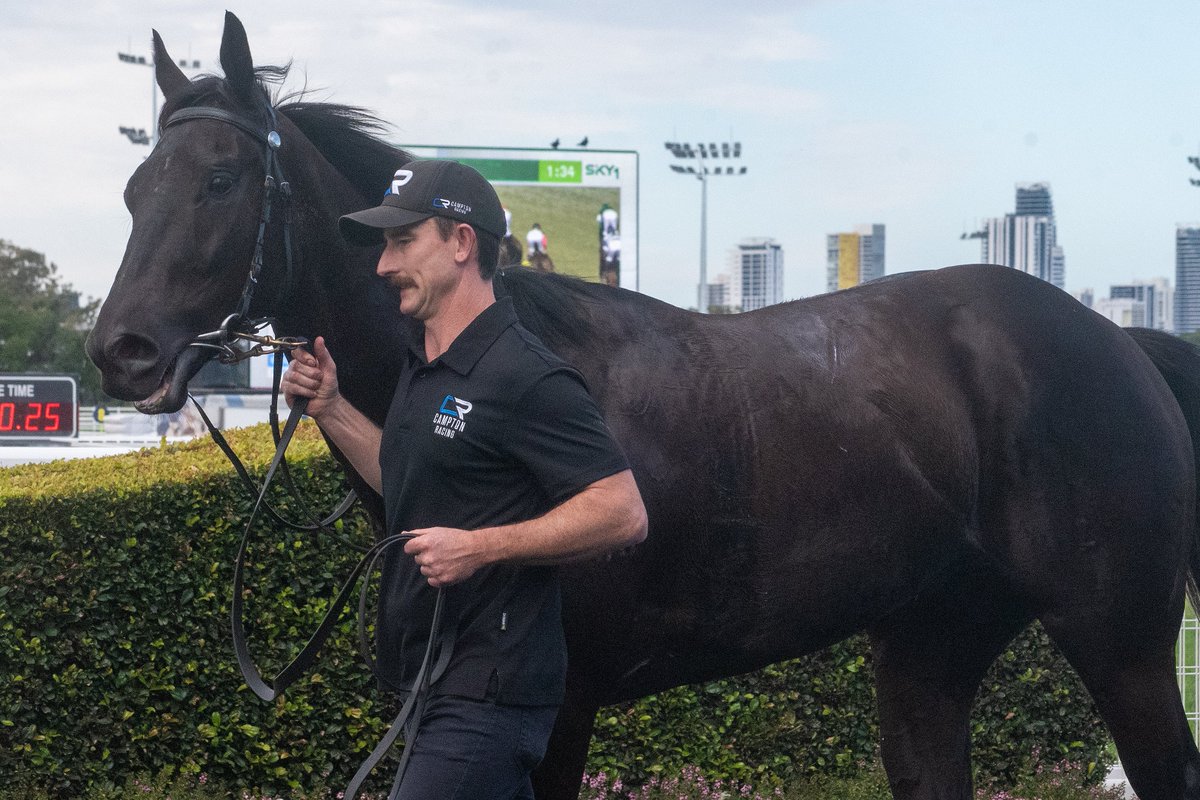 mmsnippets's tweet image. Nice juvenile winner for a MM Racing Women ownership group @GCTurfClub! 
Sujeed (Sooboog-Armidale Princess) was a $100,000 Gold Coast Yearling Sale buy for @CamptonRacing from the draft of @KitchwinHills. Congratulations to connections - including the ladies! 
#ClassOf2023