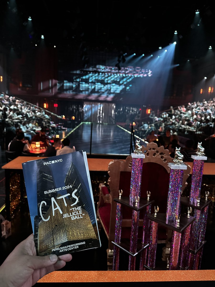 I SAW CATS THE JELLICLE BALL AND I WOULD SEE IT 9,000 MORE TIMES AND I SAT BEHIND ROBBIE FAIRCHILD WHO WAS MUNKUSTRAP IN THE MOVIE I AM SO ALIVE