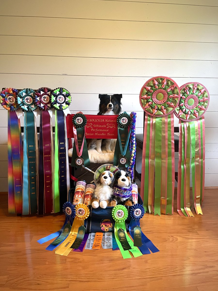 heatamber22's tweet photo. Ready to get back watching! Been traveling for four weekends straight doing dog sports. My daughter cleaned house at Mini American Nationals! @OfficialOPLive @ReelzChannel #oplive #opnation https://t.co/1FKYwWQuAs