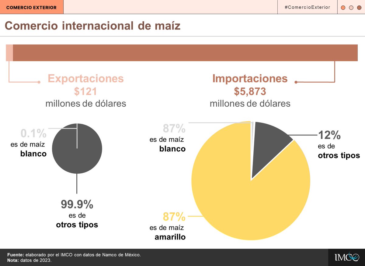 La mayor parte del comercio de maíz en 🇲🇽 consiste en importaciones. 🌽87% del maíz que compramos del exterior es 🟡, ya que la producción nacional es poca. 99.9% del que vendemos al exterior es de otros tipos. En 2023 se exportó poco maíz blanco ⚪️. En él, 🇲🇽 es autosuficiente.