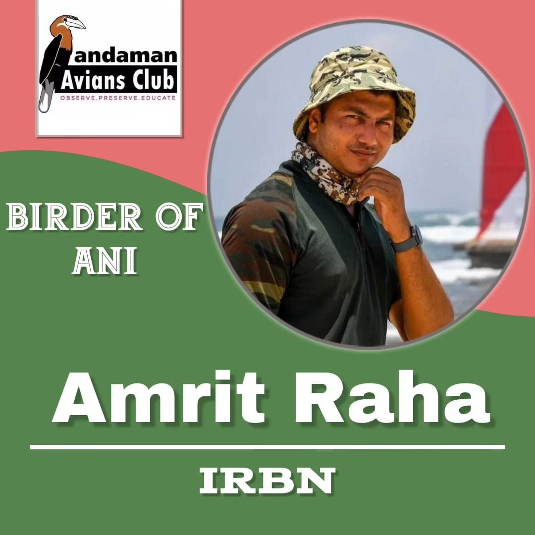 ANDAMAN AVIANS CLUB tweet media