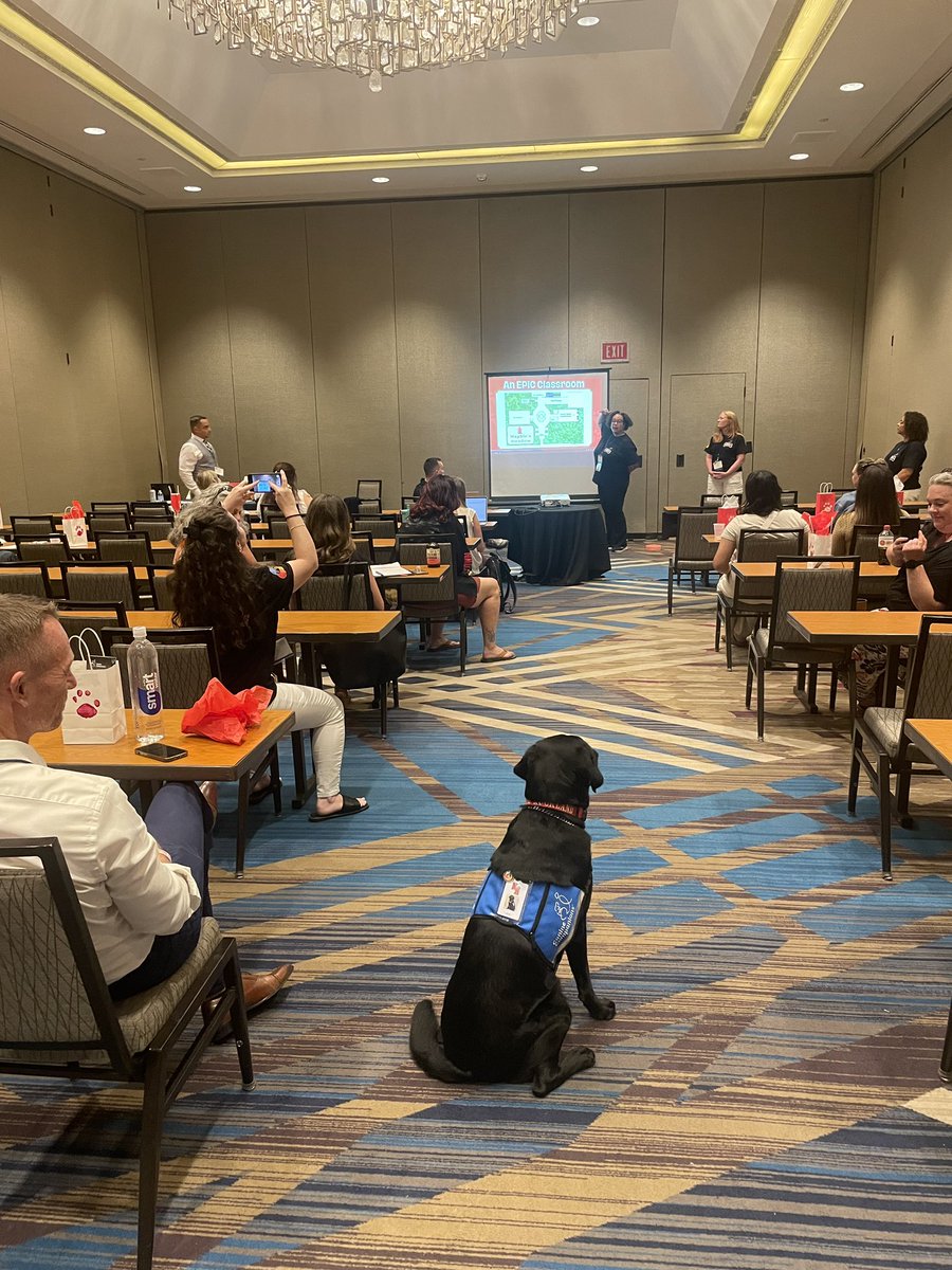 jpfister_16's tweet photo. Fieldstone Middle School presenting and getting recognized Nationally. Thank you Dave Vroman and the NY team. We are NR @FieldstoneMSNY @NRCSDistrict @NYSMSA @SchoolstoWatch https://t.co/h5HPfn5aDy