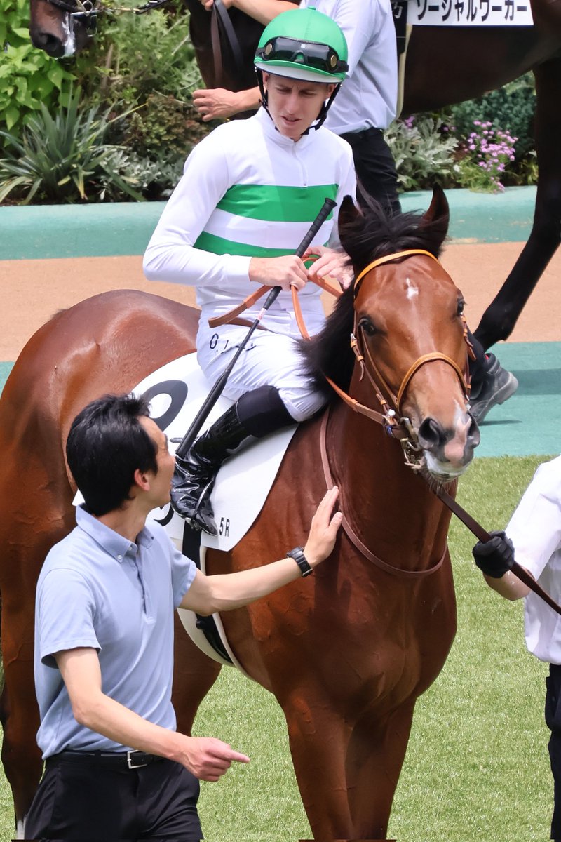 furabecamera's tweet photo. 東京5R
メイクデ��ュー東京

#ソロモン

父 #ミッキーアイル
姉は #メイケイエール
鞍上は #ダミアン・レーン https://t.co/27kW81IOaP