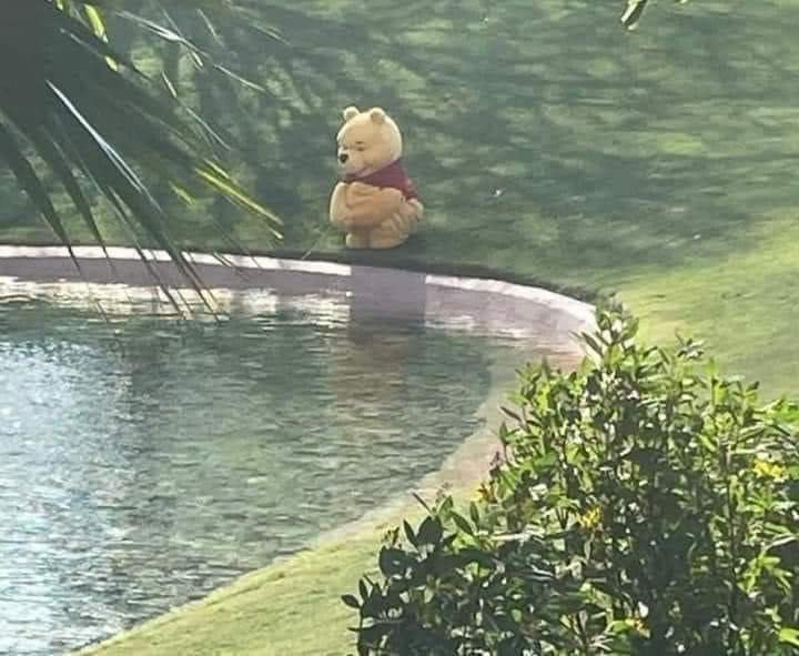 WallStreetBets tweet media