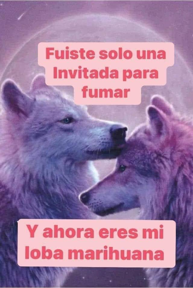 JAJAJA