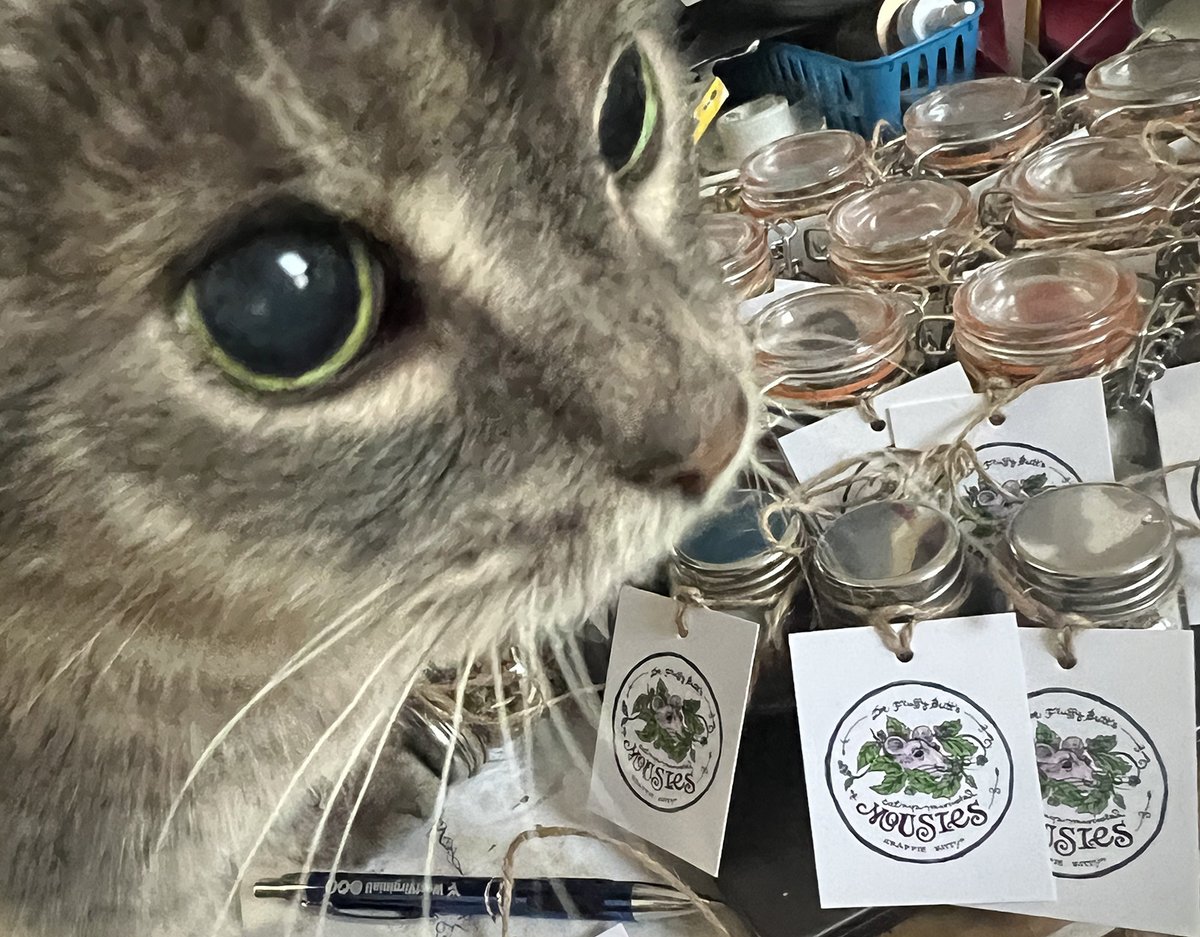 HepCatzDesign's tweet image. HepCat Sieben gives the freshly-packed Dr. Fluffy Butt's Catnip Marinated Mousies a final inspection before they're off to @FestivALL 's Capitol Street Art Fair Sat. 10-6, Sun. 11-5. Downtown Charleston.