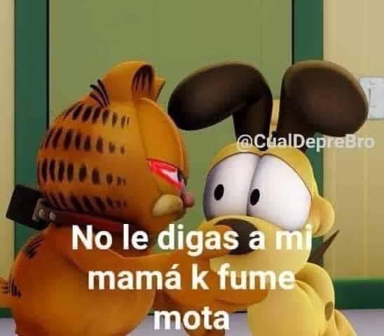 Angeel_Artesano's tweet image. Nadie:

Yo hablando con mi perro: