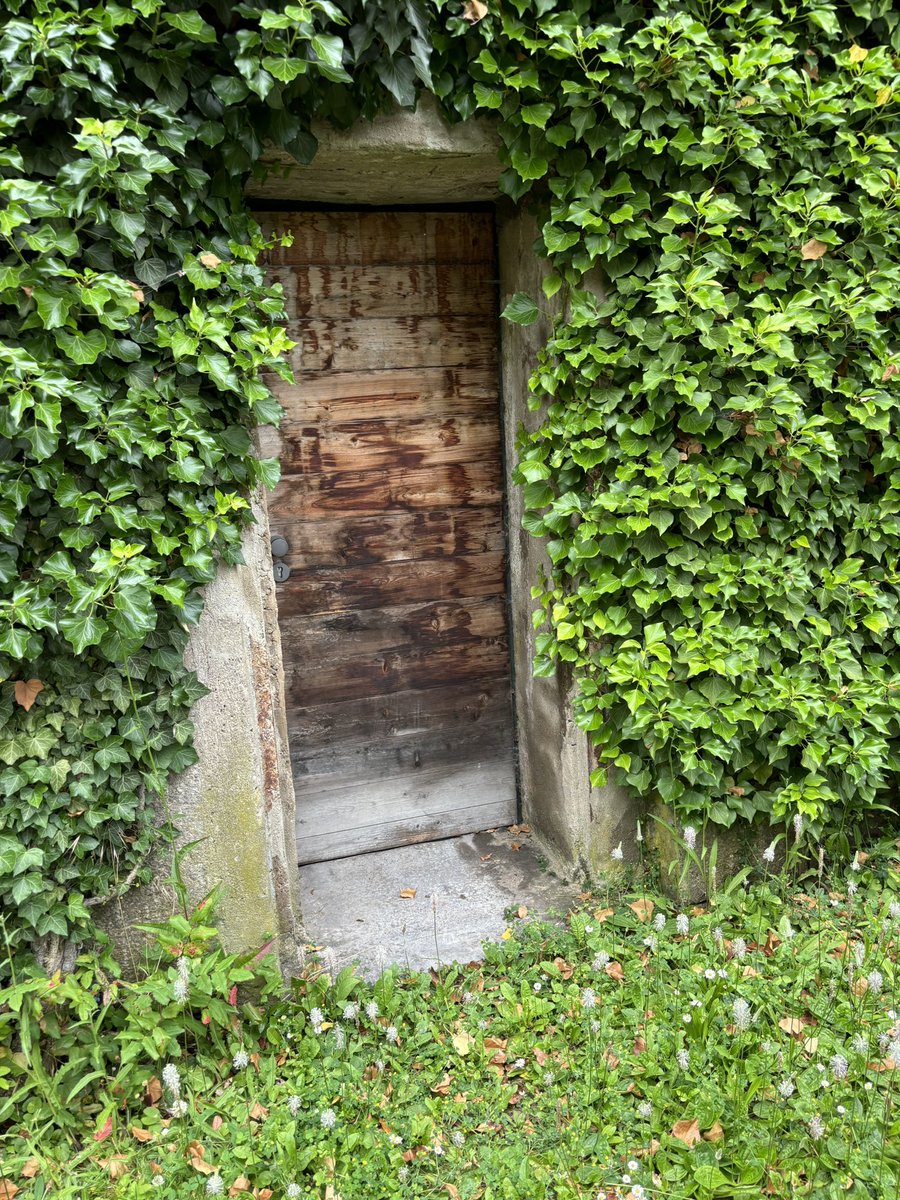 Frau WeigeltFerguson tweet media