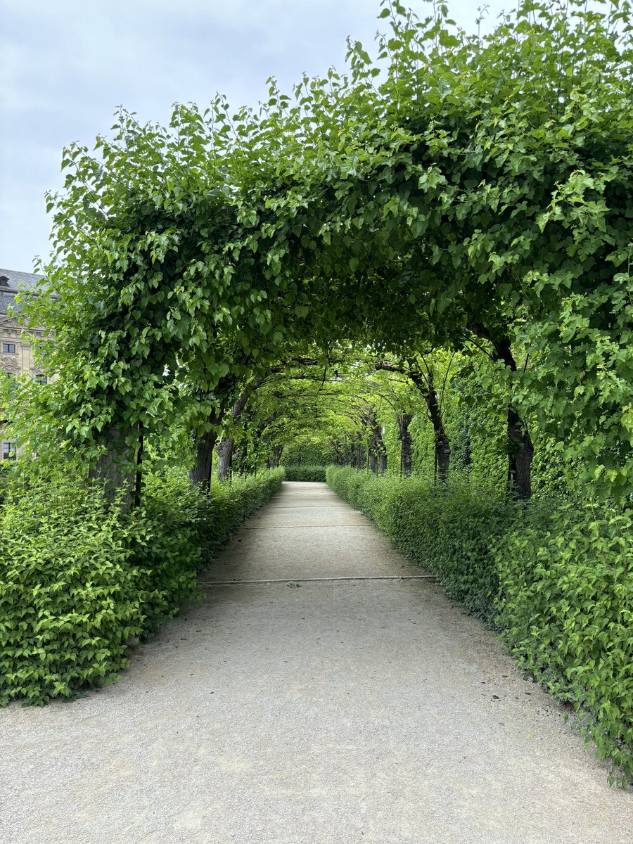 Frau WeigeltFerguson tweet media