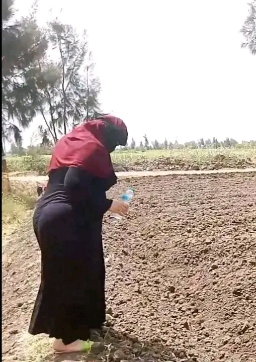 صباح الورد والياسمين 🌹😍