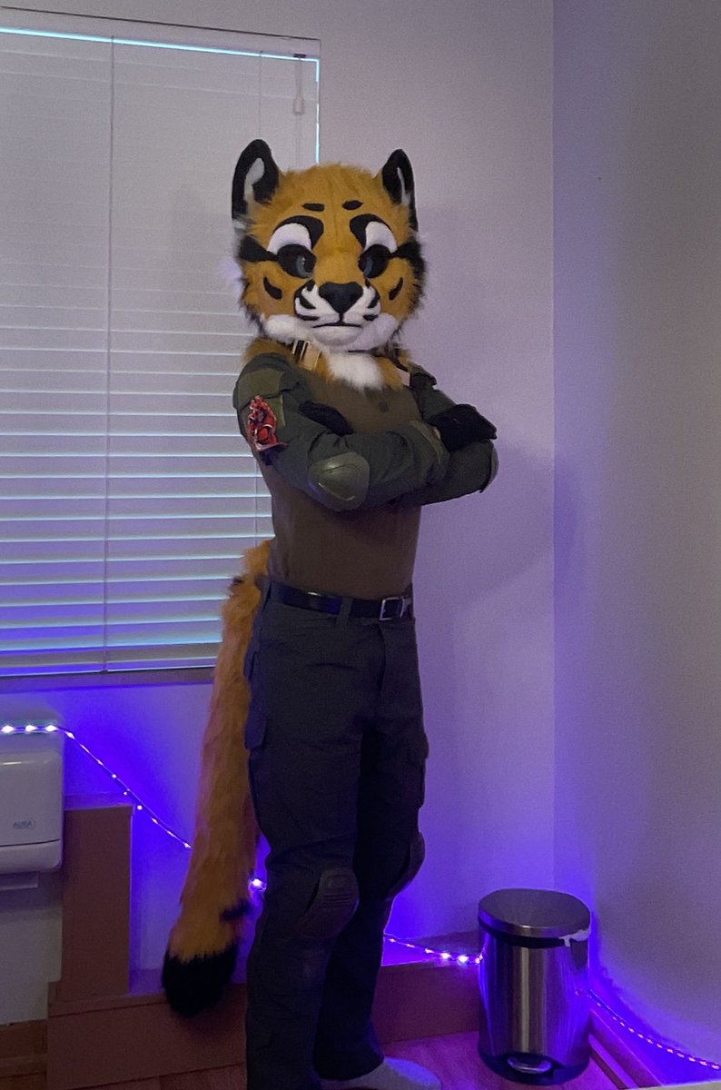 Hi. I'm the boss for this mission. #fursuitfriday

GLHF! :3