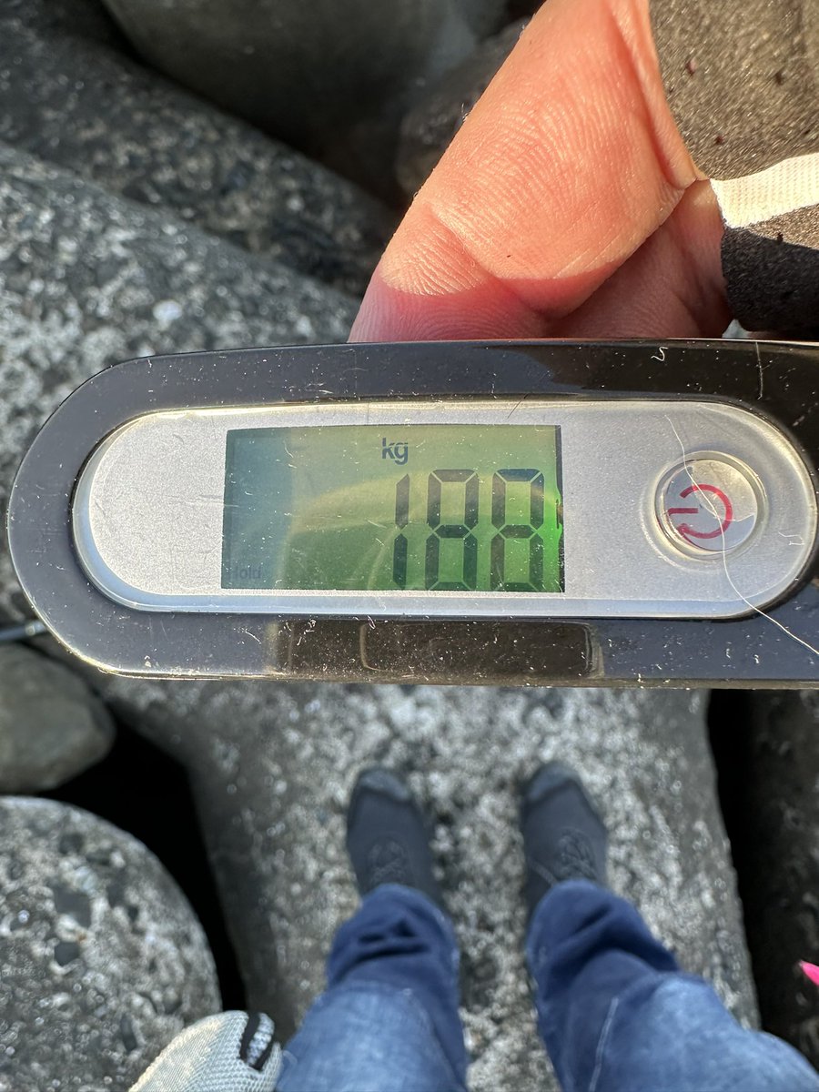 breaden623's tweet image. 今期、最大1.88Kg‼️
惜しくも2キロチョイたらなーず😅

#アオリイカ
#チョイたらなーず