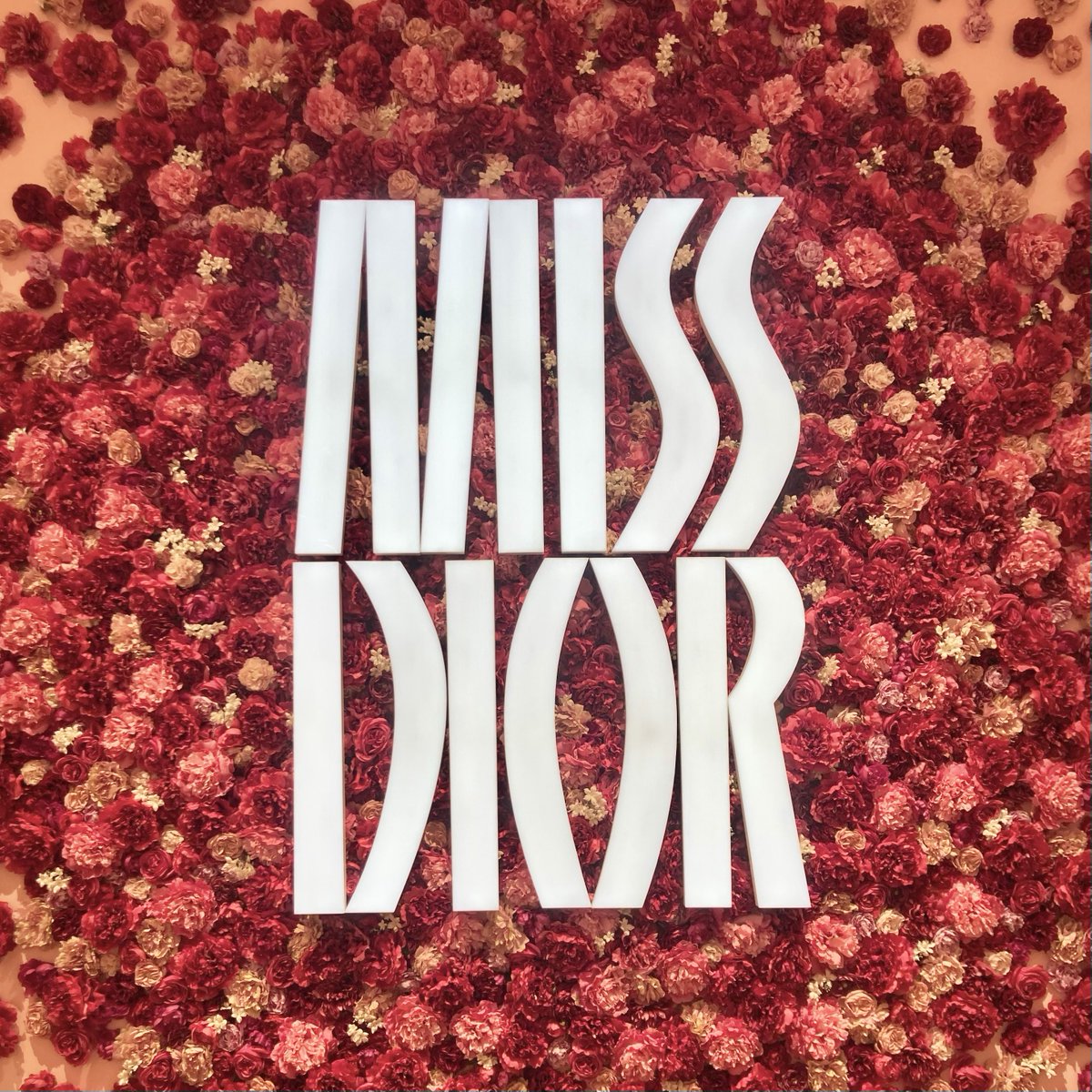 hime_mutable's tweet image. みすでぃおーる展に星座あった！