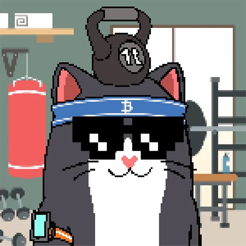 LibertyCats_APP's tweet photo. 在Liberty Cats合集中，健身房稀缺系列是一个令人瞩目的亮点，共计32张珍贵作品。

这些作品不仅是加密投资者的宠儿，也是健身爱好者的灵感来源。

投资是为了积累财富，而健身则是为了保持一个强健的体魄，毕竟，只有健康的身体，才能更好地享受生活的美好和财富带来的乐趣。

这张描绘猫咪在健身房中的NFT，不仅展示了数字艺术的魅力，也提醒我们在追求财富的同时，不要忘记了身体的价值。

毕竟没有健康，一切都是浮云。

这里也有创作者一些故事来源，
承若过比特币到达10万美金，将展示腹肌…
所以创作者每次去健身，头顶着比特币10万目标，思考着真有腹肌可以展示吗？