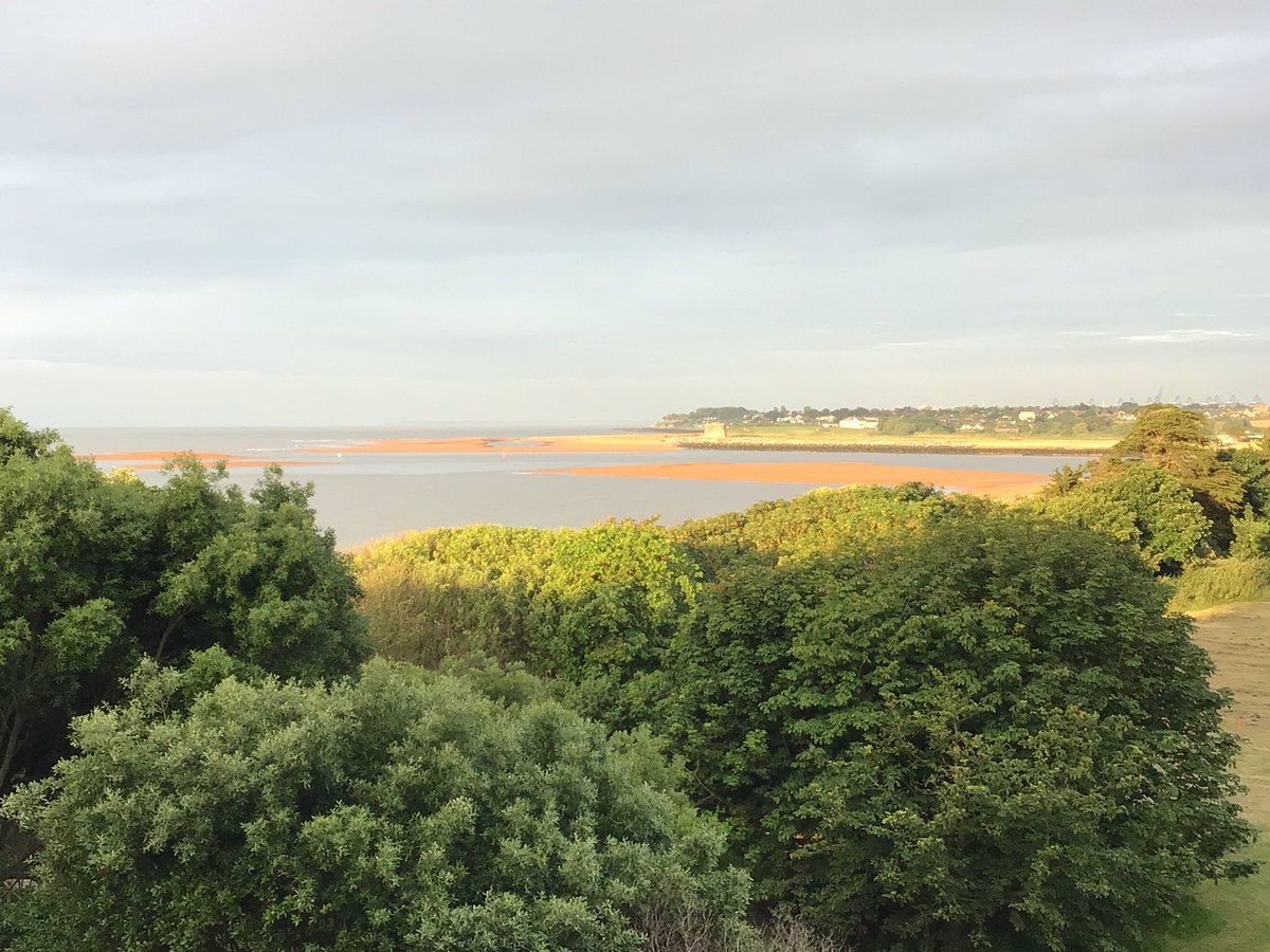 MrBedwell tweet media