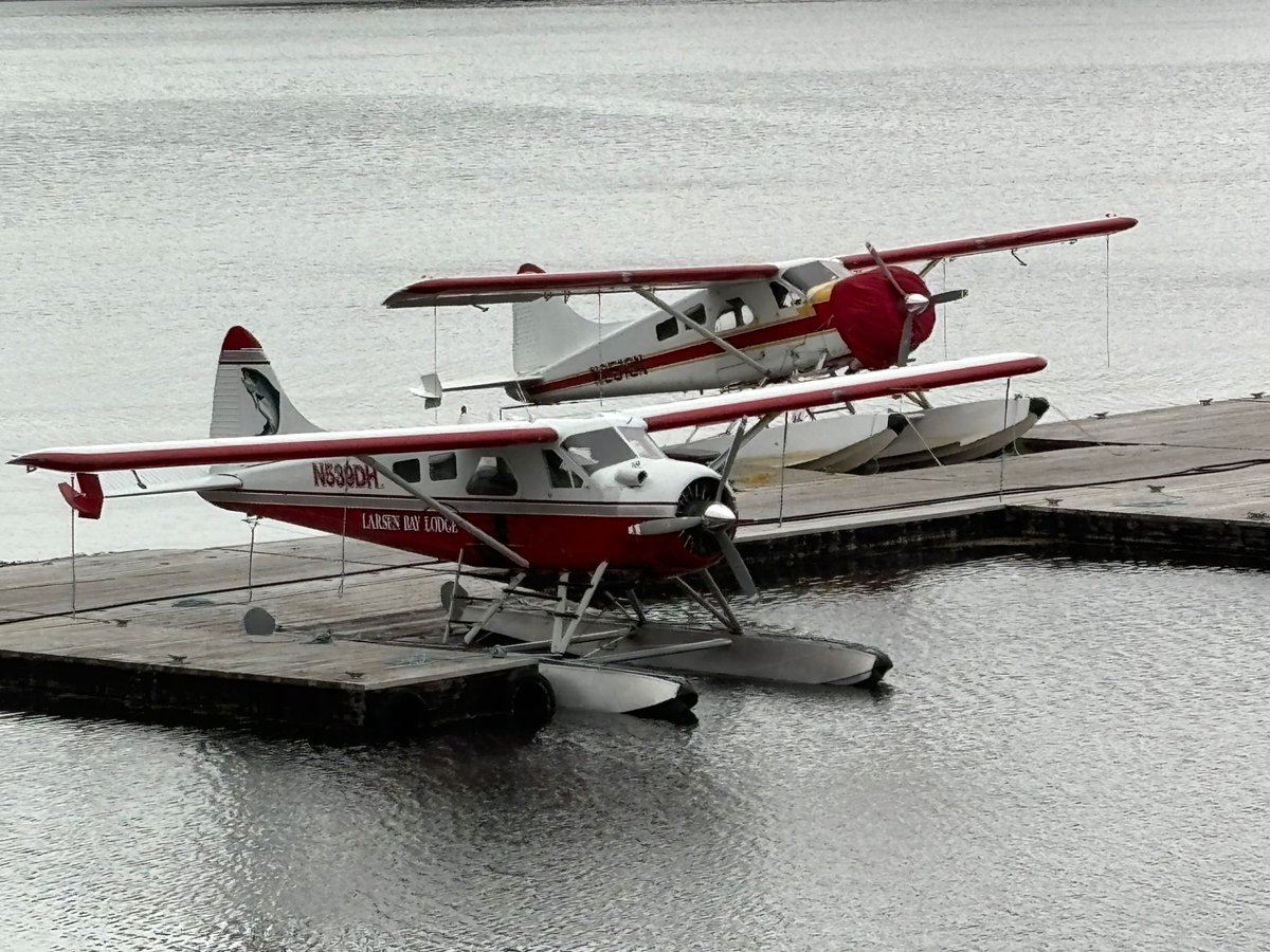 SimmyJellers's tweet photo. This is called being a copilot. I’m just like some people’s god. 
.
#roadtrip #alaska #floatplane #seaplane https://t.co/H3sJ4G8m13