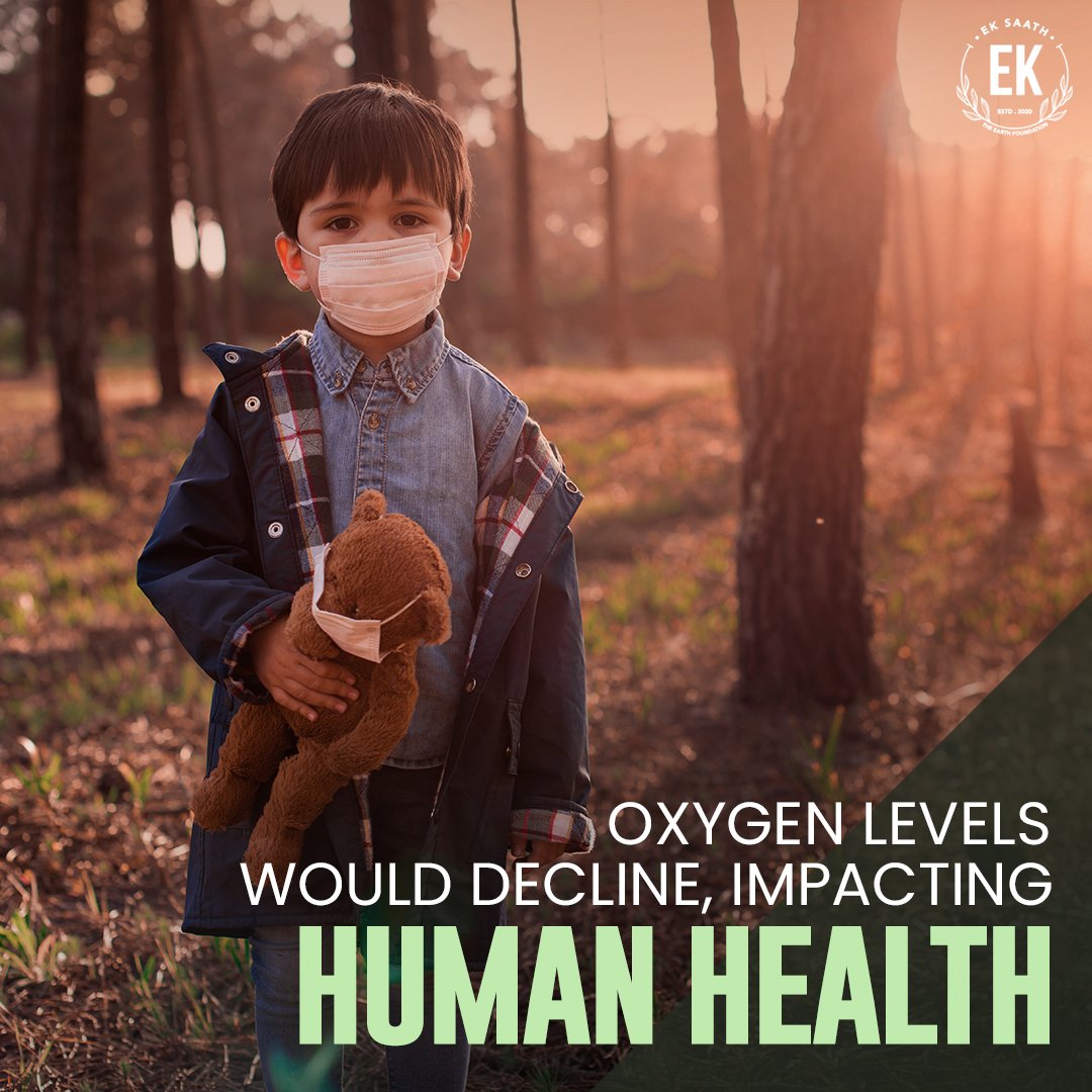 ek7foundation's tweet photo. On World Rainforest Day, we must shed light on protecting our planet's lungs. If rainforests continue to decline, humans and other species will be pushed toward extinction. Let's spread awareness and make a difference for us and our future generations.
#WorldRainforesetDay https://t.co/rmGbXZwcfE