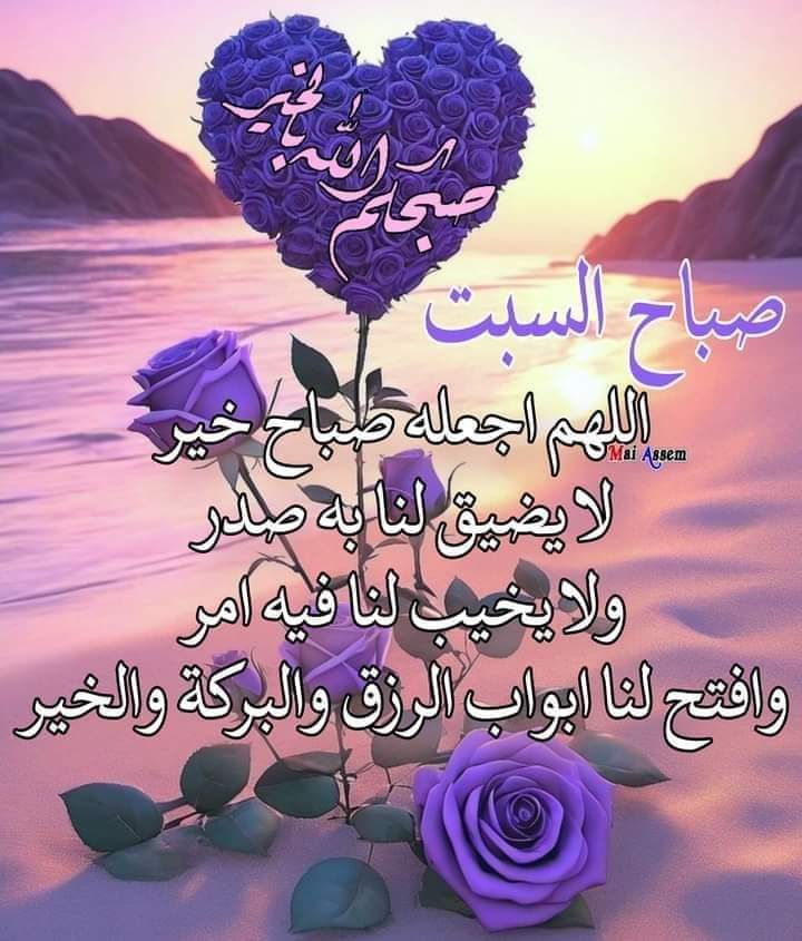 ام محمد ام محمد (@mmmdmmmd117128) on Twitter photo 