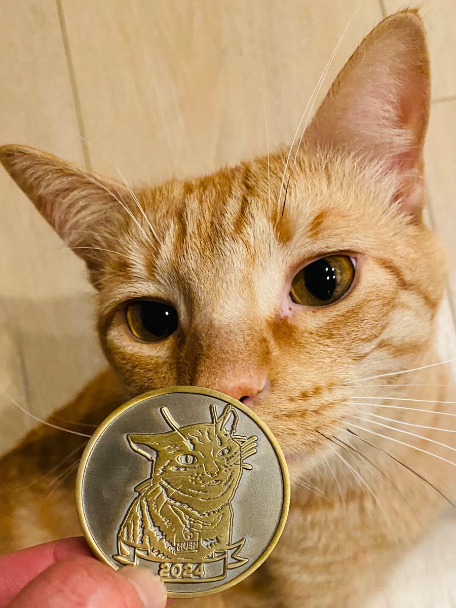 Anthony z tweet media