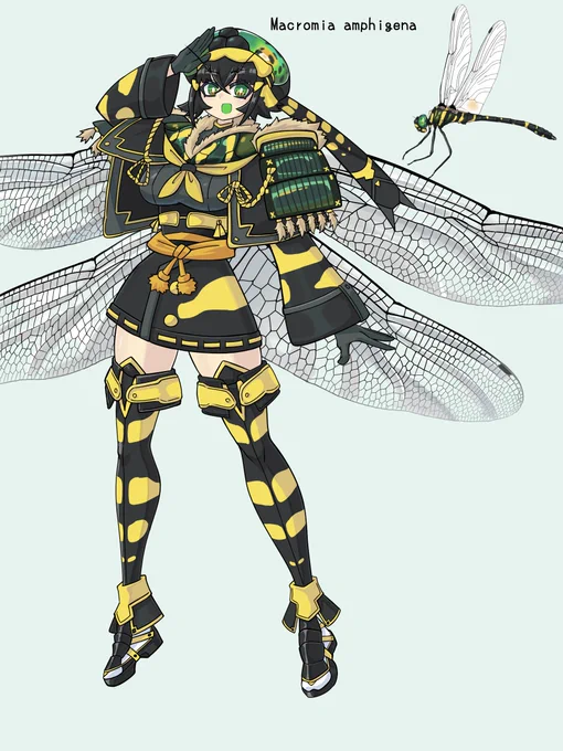 コヤマトンボ 