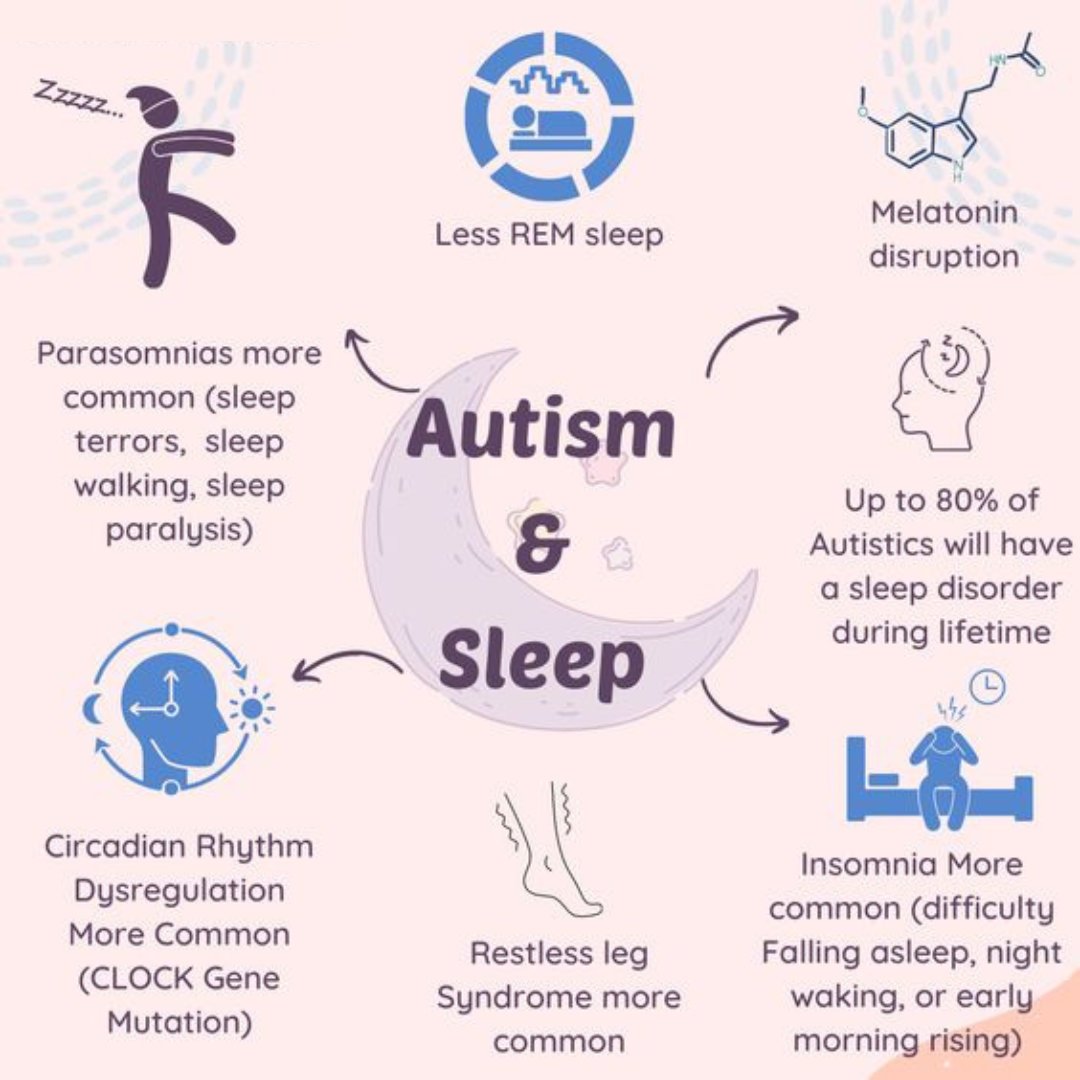 Web Autism tweet media