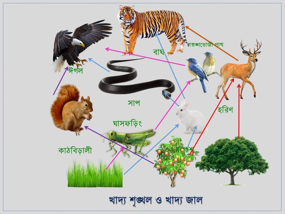 iMsakilhasan's tweet image. মানুষের লোভের শিকার হয়ে প্রকৃতি যখন ক্ষতিগ্রস্থ হয় তখন প্রকৃতিও নিজস্ব উপায়ে সেই ক্ষতি পুষিয়ে নেয়। 

#saveecosystem #EcosystemRestoration