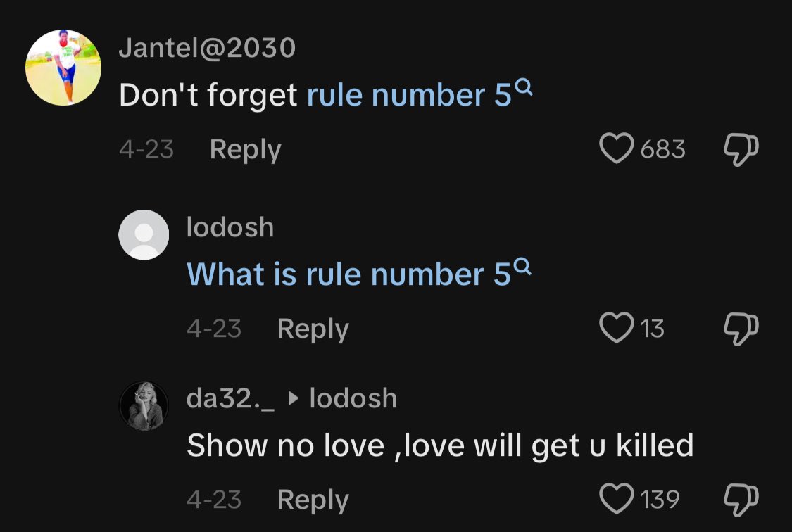 stella tweet media
