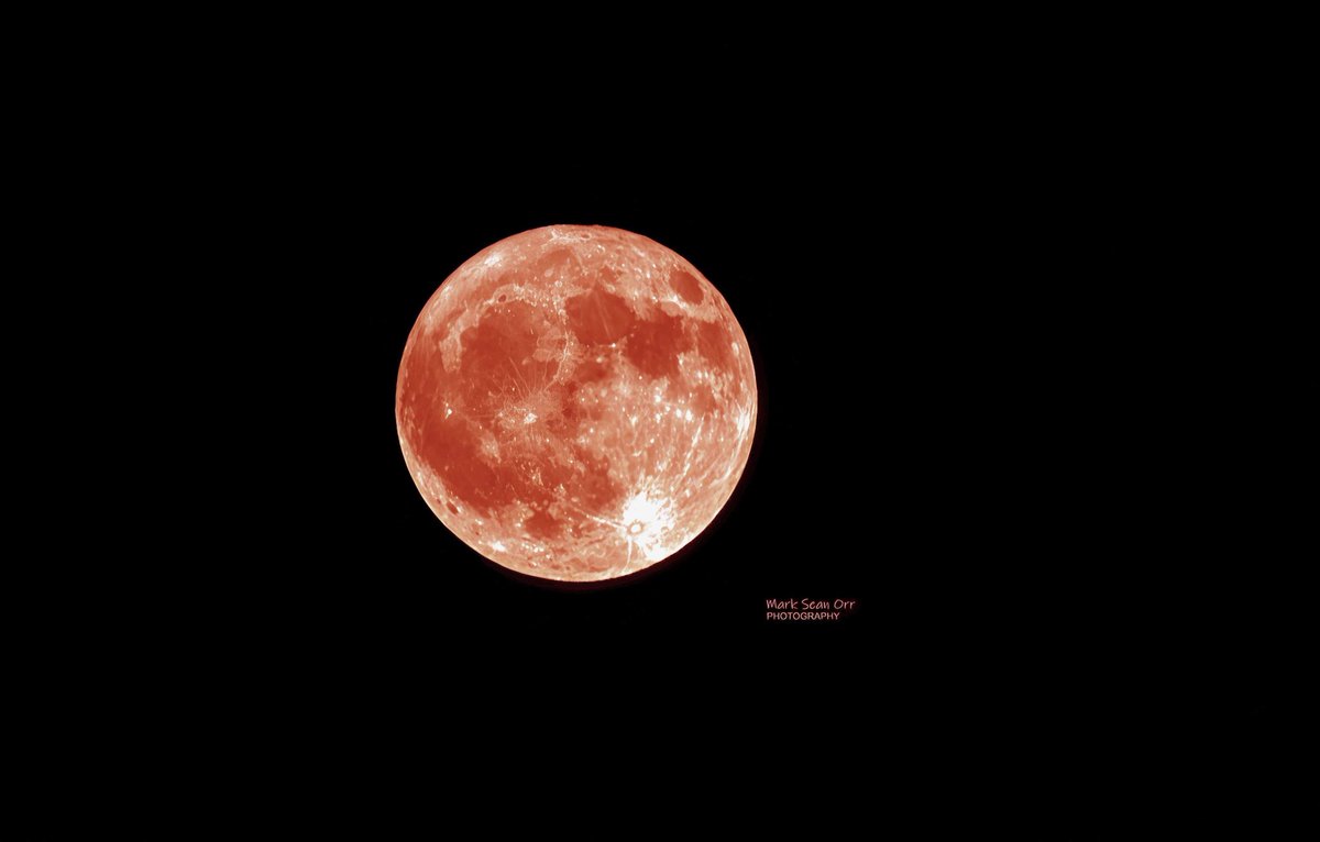RyanMorseWx's tweet photo. A Full Strawberry Moon over New Castle, Indiana last night!

📷Mark Sean Orr https://t.co/xV44snIHF0