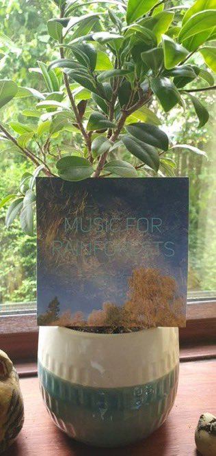 We are now live!

Music for Rainforests are out in the wild.
It’s an exciting line up of talented musicians giving the forests their voice. 

2CDs for £8 and all founds gathered will be donated to <a href="/RnfrstAlliance/">Rainforest Alliance</a> 

wormholeworld.bandcamp.com/album/music-fo…