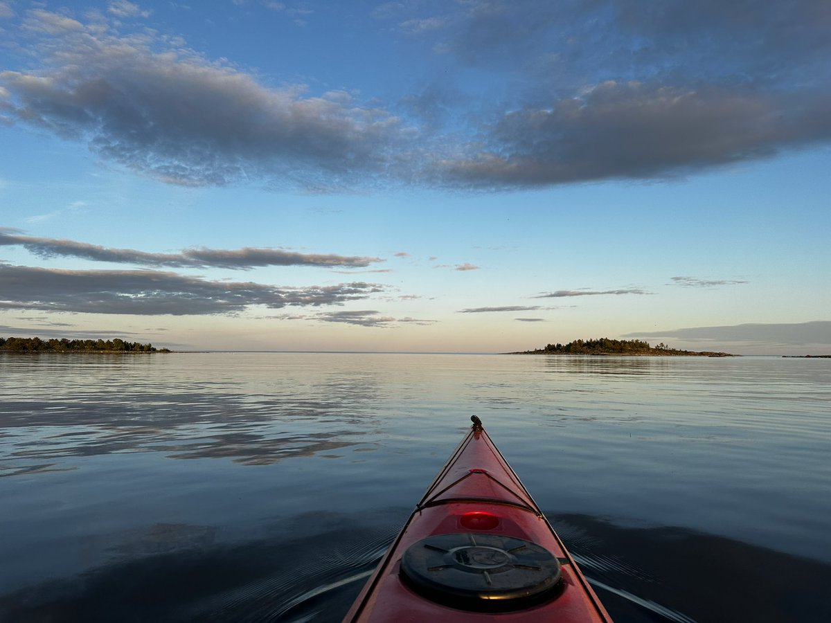 I really enjoyed the Plant Microbiome Symposium! #PMS2024 Great discussions &amp; organization! Now back in the north of Sweden. Happy midsummer! ☀️🌸