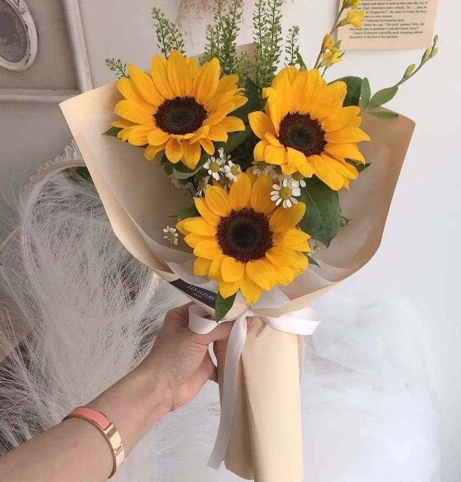 petal pretty🌻