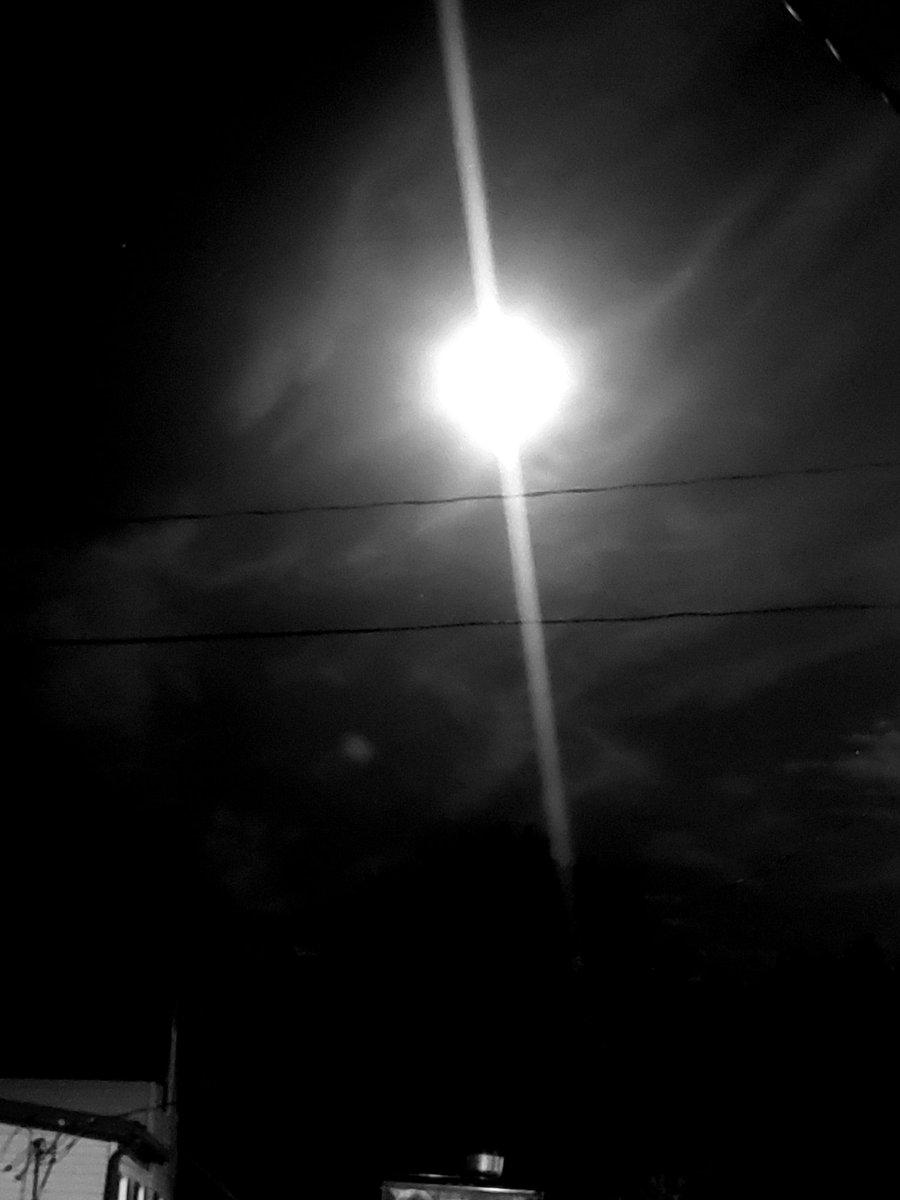 Dusty (as in Dusty) tweet media