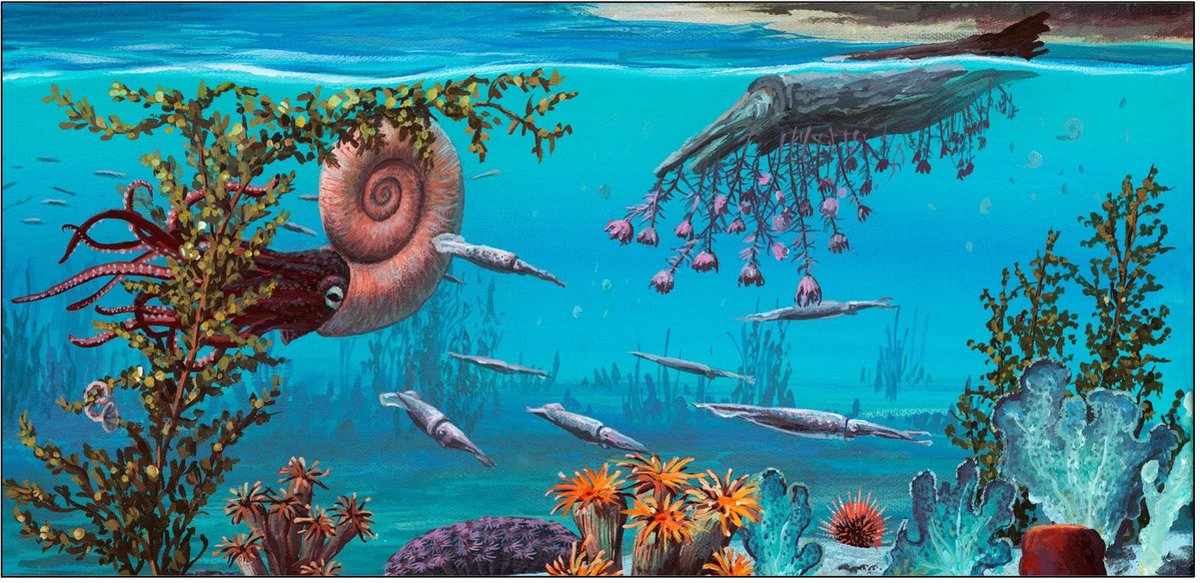 geotdf's tweet image. We don’t want to alarm anyone but 

GEO TOUR DE FRANCE STARTS IN ONE WEEK 🎉🇫🇷🇮🇹🎉

We have your daily dose of geology: from the first humans in France to the Variscan Orogeny, limestone (lots of it), some dinosaurs, wine and salt (don’t mix) and the origins of gravel.…