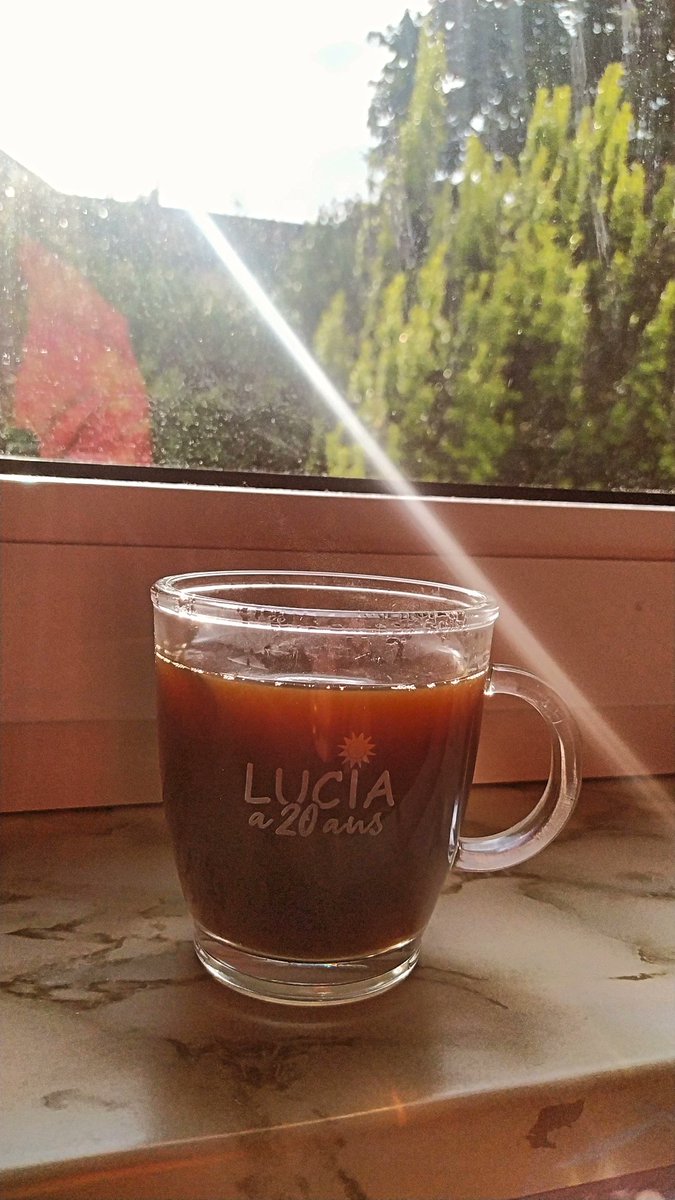 Thrilled to share: I had the opportunity to present my research as an oral contribution at the LUCIA a ans workshop at the SOLEIL Synchrotron in Saint-Aubin, France. Thanks to all the Organisers! Nice coffee cup btw!! :)