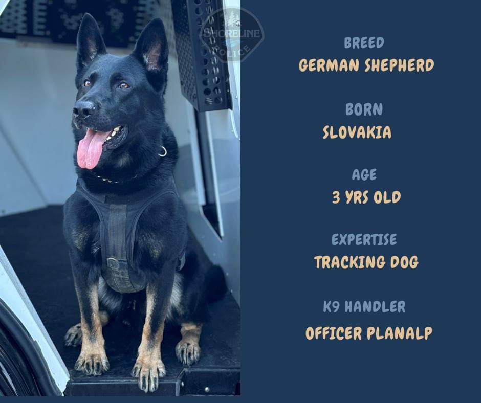 Shoreline Police tweet media