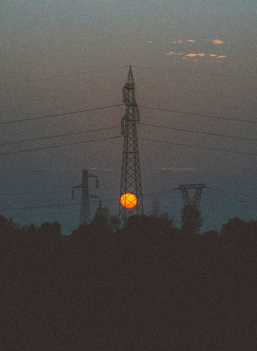 morning everyone! wish you a peaceful sunday! 🌻 ☕️