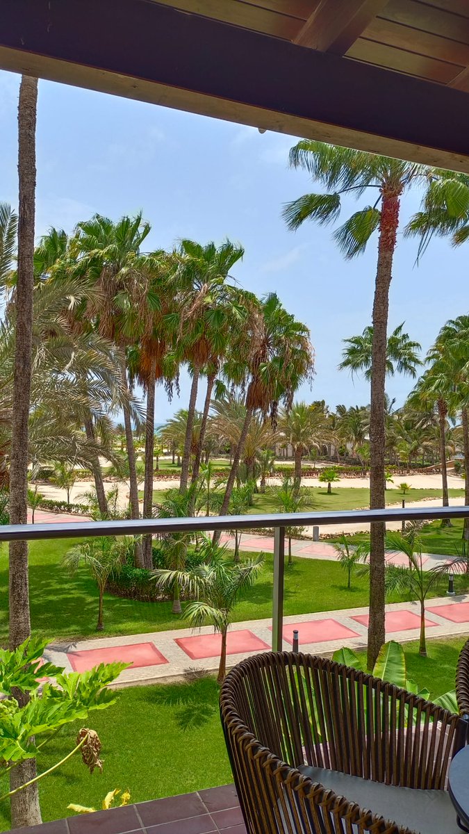 GM NFT    It's Saturday