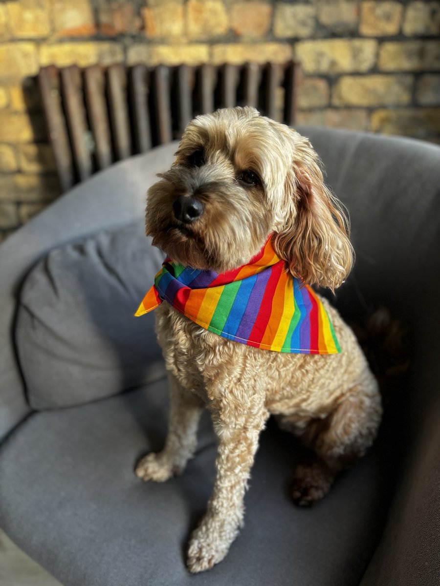 Pride ready. Have a great day, everyone. 🏳️‍🌈🏳️‍⚧️❤️☀️ ⁦<a href="/PrideCymru/">Pride Cymru</a>⁩ #CardiffPride
