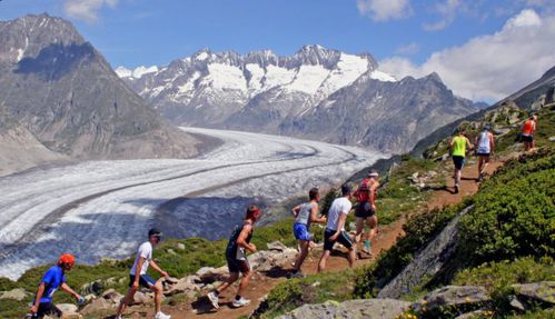 WEEKEND! 
En, waar lopen ze zoal? In Bettmeralp* (Trail 21k), Doorn (Trail 31k), Gennep (10k), Haarlem (10k), Hoorn (OD tri), Roosendaal (5&amp;10k) en Rotterdam (1/8e tri). Succes allen, daar en elders! 
"Je verstand is erg belangrijk, want daar worden alle problemen uitgevonden."