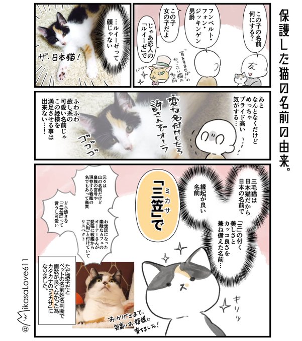 ミカサにゃんの飼い主(@MikasaLove611) さんのマンガ一覧 | ツイコミ(仮)