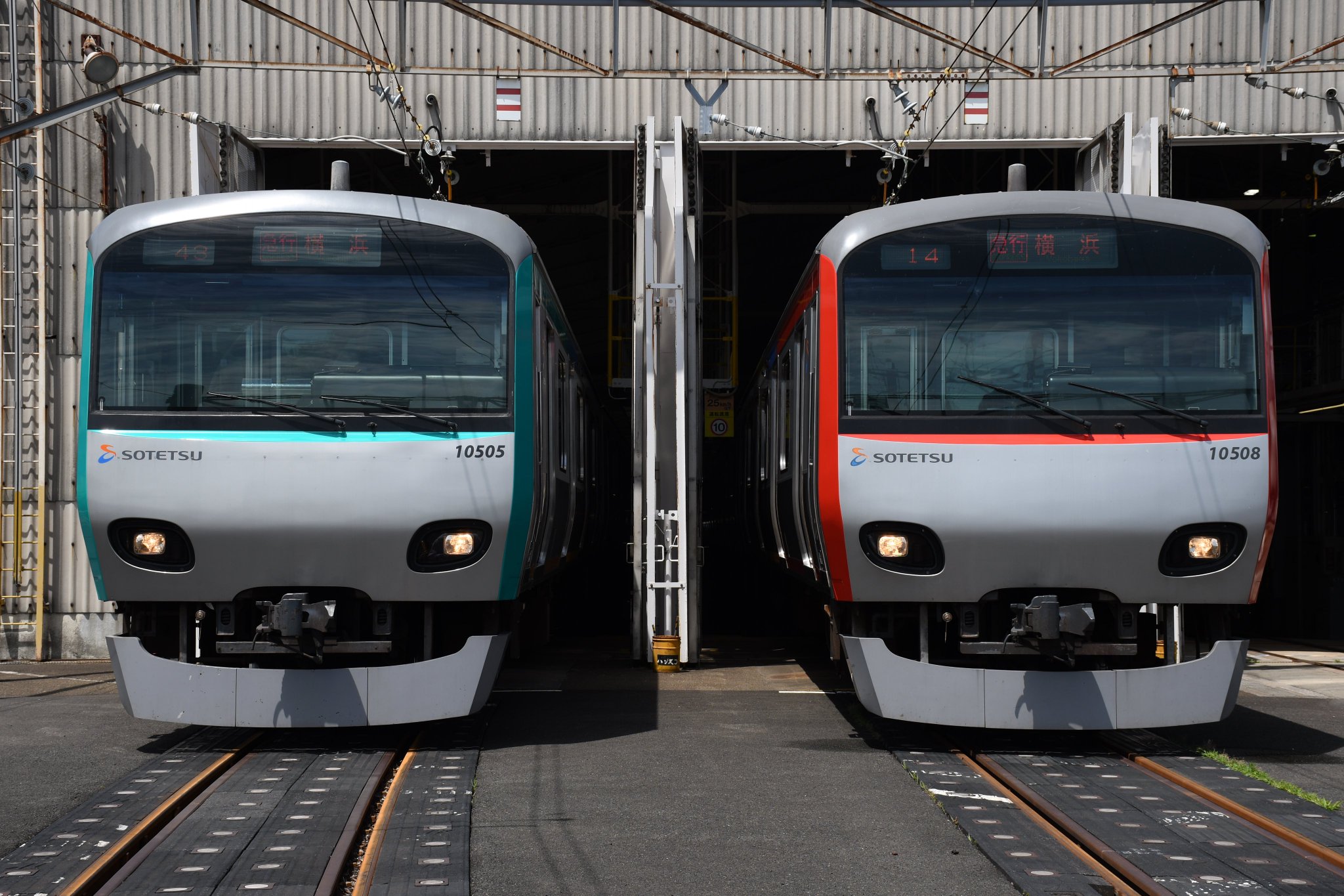 251系 SVO 新塗装 河津桜ラッピング 10両編成 クリアファイル2点付き 251系 河津桜トレイン 運転」の投稿写真（19枚目） - 鉄道コム