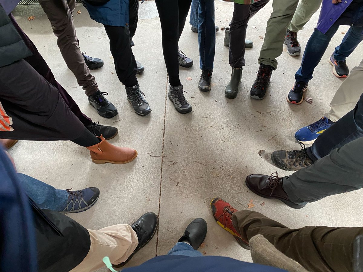 Nicolette_Boele's tweet image. Team Nic puts its best foot forward door knocking in #Wahroonga today. 

Democracy goes on in all weather. 

#BetterIsPossible #community #costOfLiving #Climate