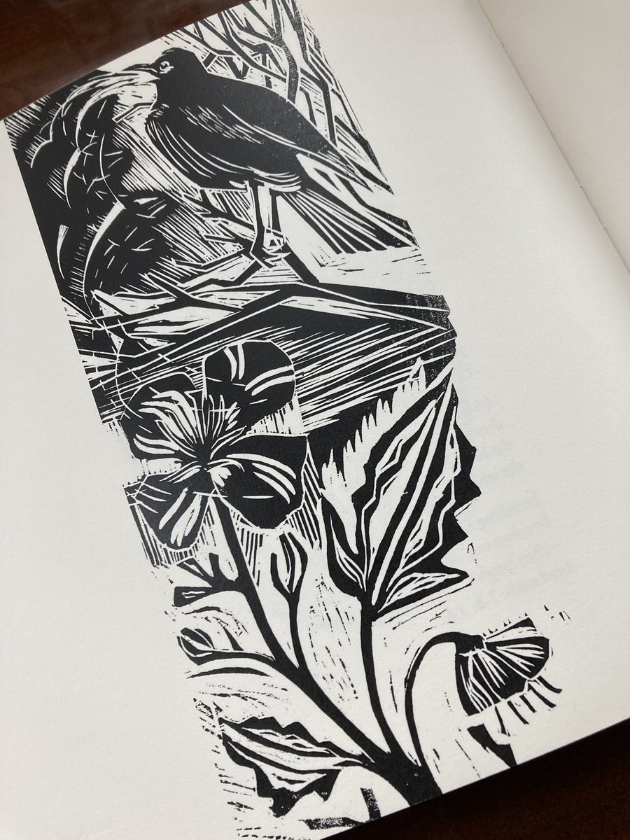 Fine Press Poetry (@finepress) on Twitter photo I still have copies available of <a href="/KathleenJamie/">Kathleen Jamie</a> & <a href="/TheStoneCarver/">jo sweeting</a>’s ‘Skeins of Geese’. Kathleen has a new book ‘Cairn’ and there’s a launch event <a href="/LRBbookshop/">London Review Bookshop</a> on Thursday which I wish I could attend. I still have copies available of <a href="/KathleenJamie/">Kathleen Jamie</a> & <a href="/TheStoneCarver/">jo sweeting</a>’s ‘Skeins of Geese’. Kathleen has a new book ‘Cairn’ and there’s a launch event <a href="/LRBbookshop/">London Review Bookshop</a> on Thursday which I wish I could attend.