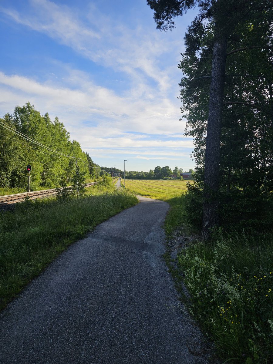 BigDogDJJENS's tweet image. Tufft cykelpass 8
mil, 4 timmar TIDIGT...
______
#BikeFlow #DJJens #VeganPower 
#Träning 21 Dagar i rad (Försök 32)
#Dag5 🌱  22:a Juni 2O24 🚴🏻‍♀️
Saturday kl. O4:2O-O8:2O #80km
Från innerstan SthlmCity å ända
ut till min gamla hood Vallentuna/
Lindholmen + extra runt i Täby
på väg…