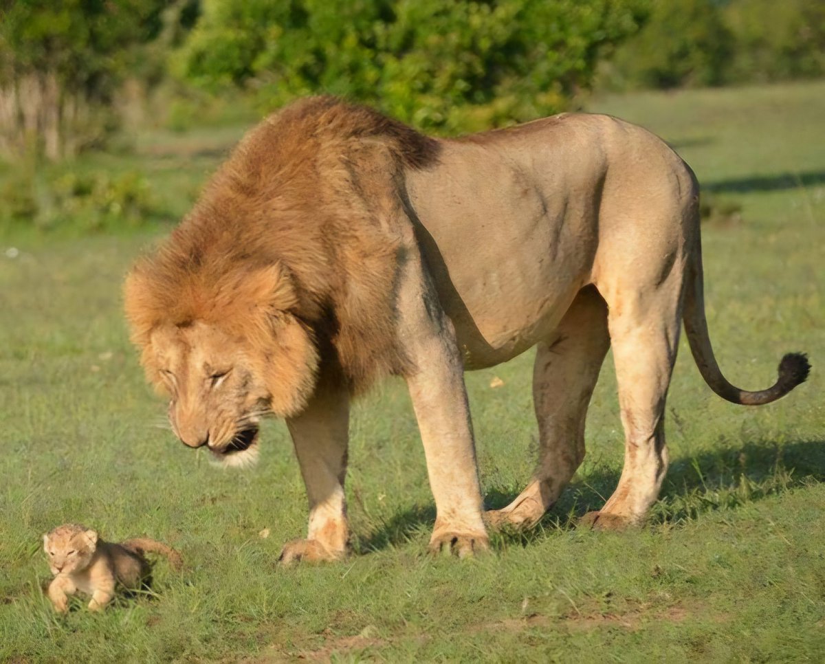 A very proud daddy!