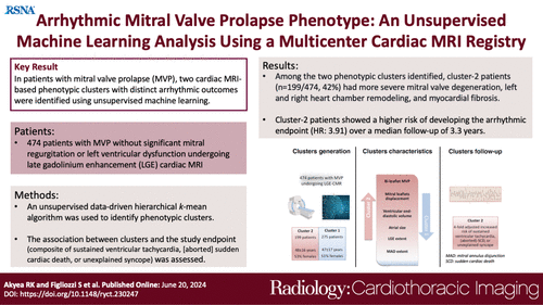 In patients with MVP, unsupervised machine learning enables the identification of two phenotypic clusters with distinct arrhythmic outcomes based primarily on cardiac MRI features,  thus encouraging in-depth imaging-based phenotyping for arrhythmic risk prediction.