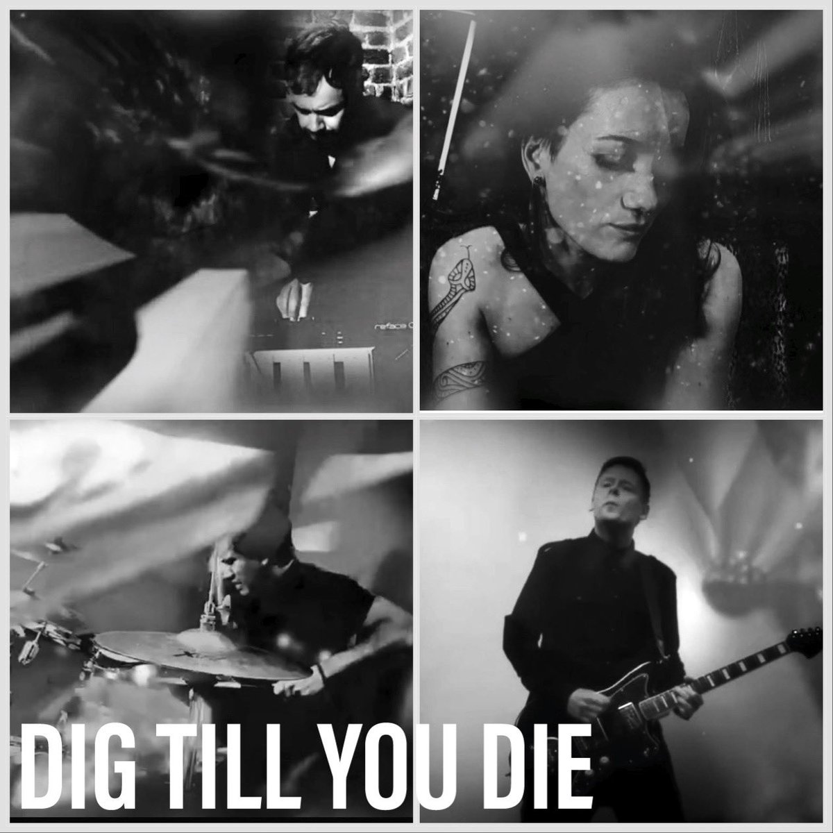 Pure Reason Revolution tweet media