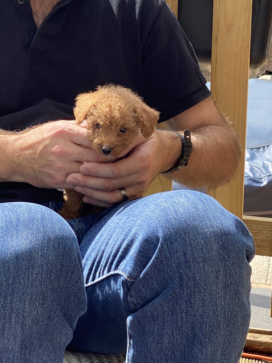 ExploraNeedham's tweet image. Happy birthday to the love of my life. First picture v last picture.

3 today