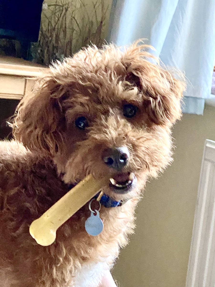 ExploraNeedham's tweet image. Happy birthday to the love of my life. First picture v last picture.

3 today