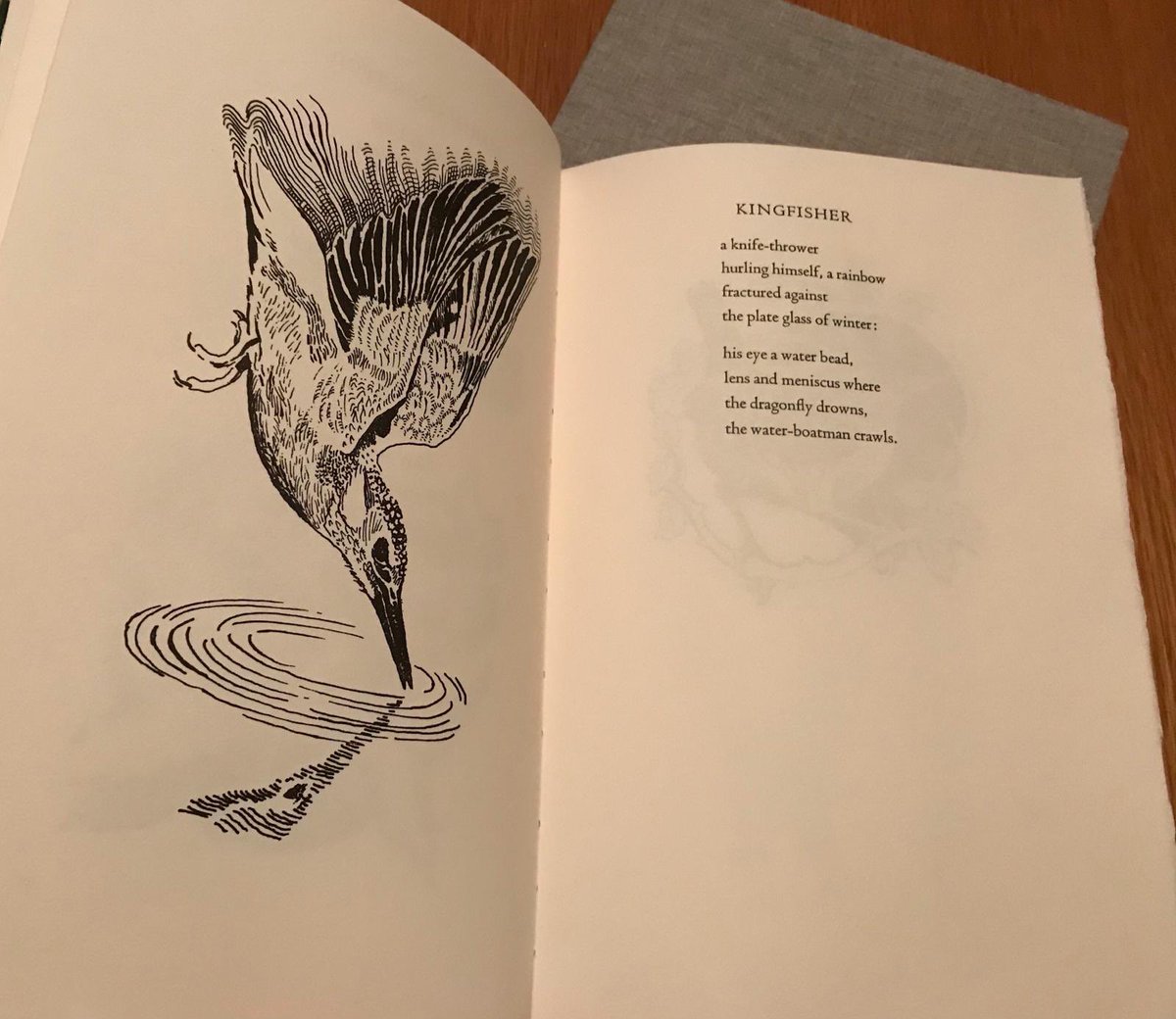 Fine Press Poetry (@finepress) on Twitter photo I still have some copies of ‘Birds & Flowers’ my latest publication with Michael Longley and Sarah Longley available. More details here finepresspoetry.com/birds--flowers… I wish I could be <a href="/SHHomePlace/">Seamus Heaney HomePlace</a> for the event with Michael tonight. I still have some copies of ‘Birds & Flowers’ my latest publication with Michael Longley and Sarah Longley available. More details here finepresspoetry.com/birds--flowers… I wish I could be <a href="/SHHomePlace/">Seamus Heaney HomePlace</a> for the event with Michael tonight.